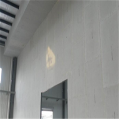 威信宁波ALC板|EPS加气板隔墙与混凝土整浇联接的实验研讨